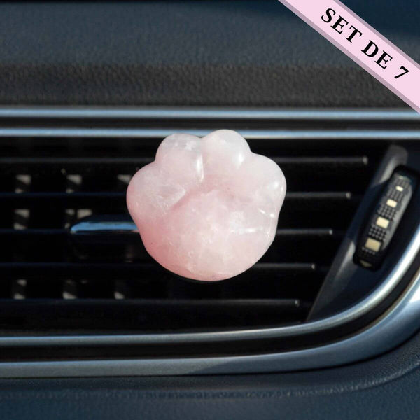 Pattes Mignonnes d'Energie Apaisante - Diffuseur Pierre Naturelle pour Voiture