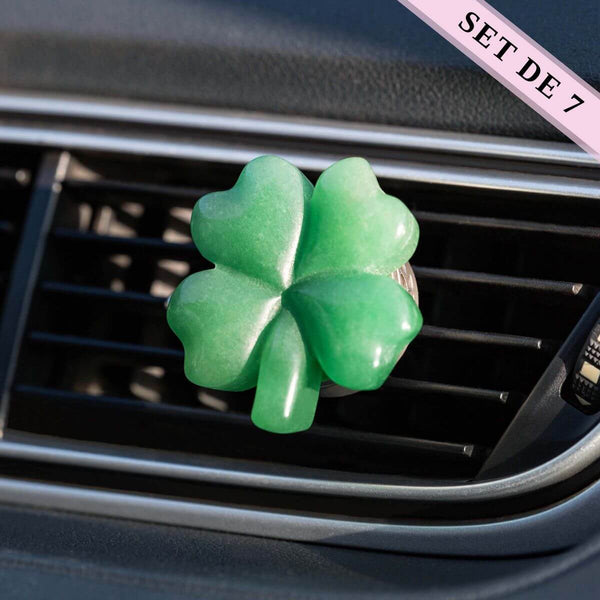 J'ai beaucoup de chance - Diffuseur Pierre Naturelle pour Voiture